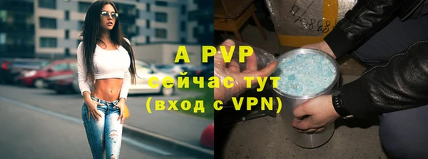 прущие крисы Лабытнанги