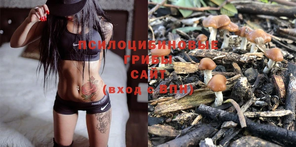 бутират Кукмор