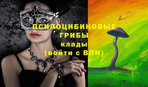 твердый Куйбышев